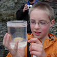 COSEE Alaska Educator Guide to Resources for Teaching about Alaska's Sea and Rivers