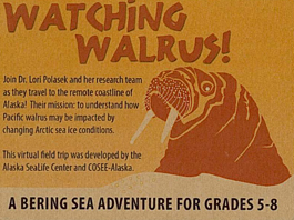 Watching Walrus! A Virtual Field Trip for Grades 5-8